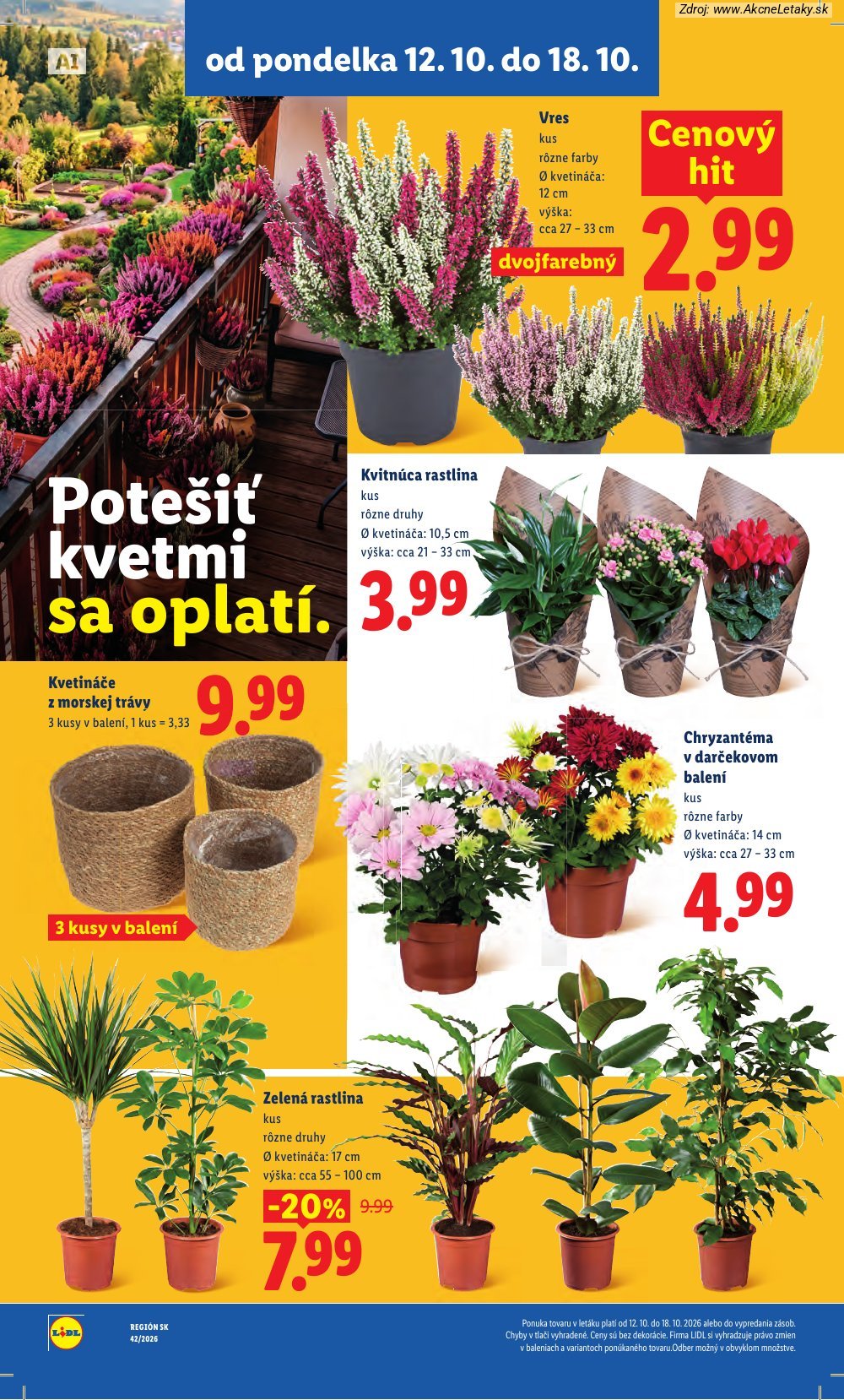 Leták Lidl (12. 10. - 18. 10. 2026) - strana 69 z 126