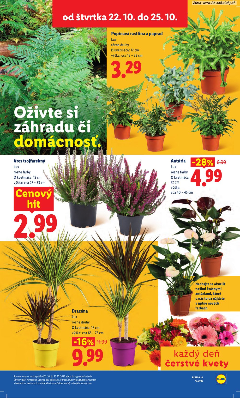 Leták Lidl - strana 102