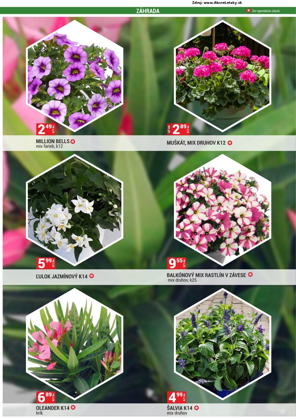 Leták Merkury Market (2. 5. - 31. 5. 2025) - strana 16 z 68