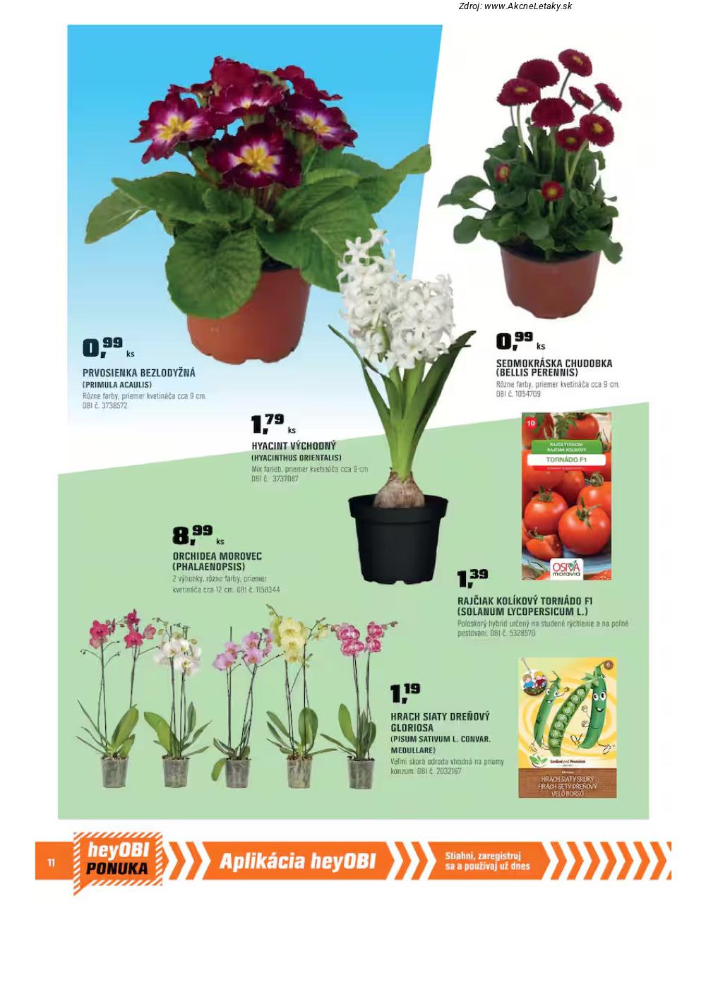 Leták OBI (1. 2. - 28. 2. 2026) - strana 12 z 19