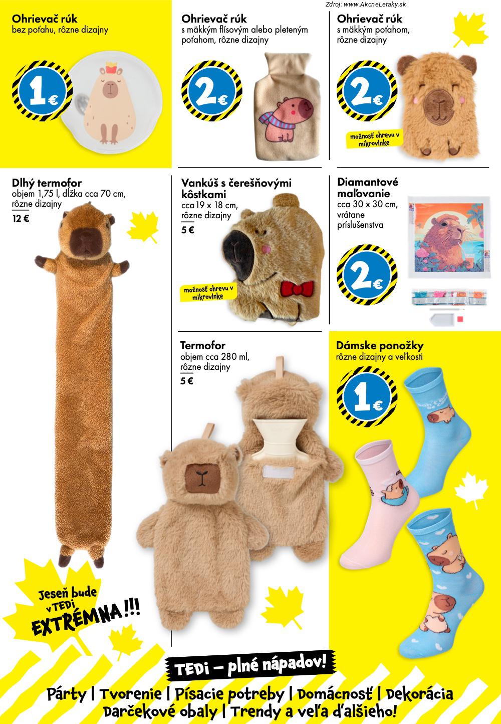 Leták TEDi - strana 6