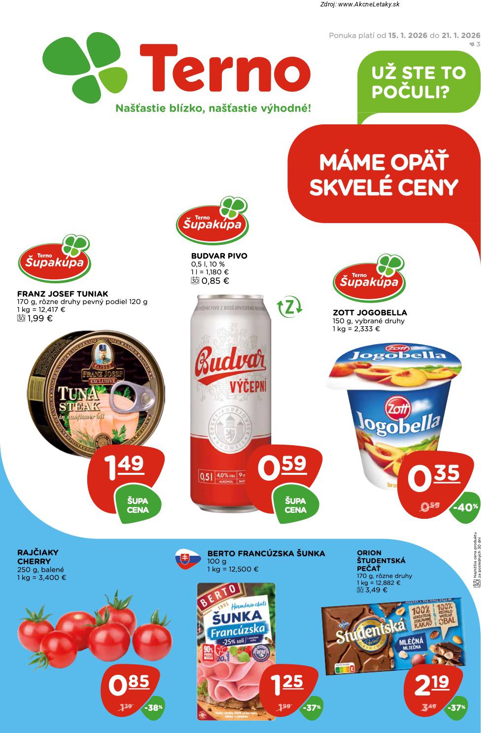 Leták TERNO - strana 1