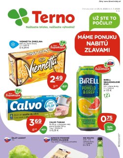 Leták TERNO