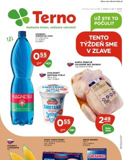 Leták TERNO