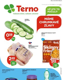 Leták TERNO