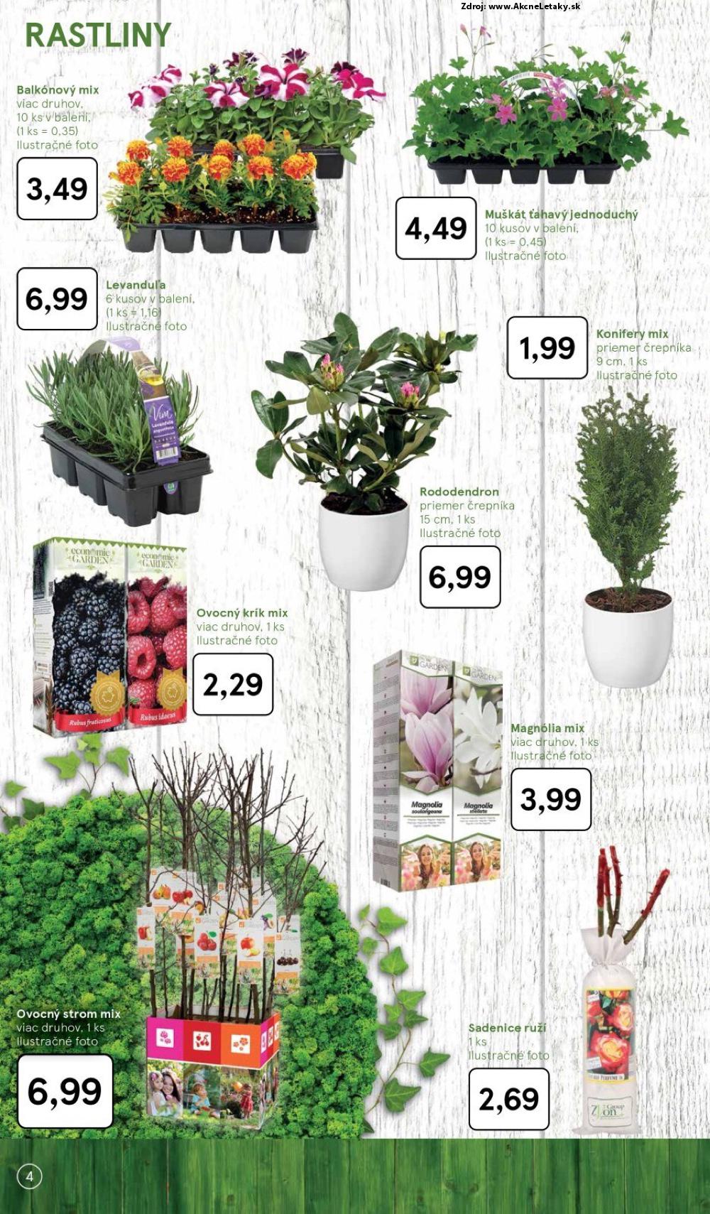 Leták Tesco (4. 3. - 24. 3. 2025) - strana 4 z 22