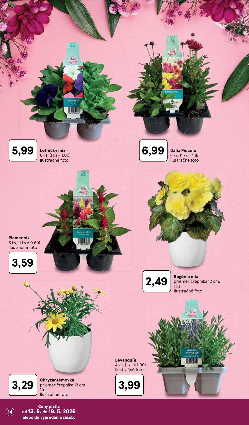 Leták Tesco (13. 5. - 19. 5. 2026) - strana 14 z 31