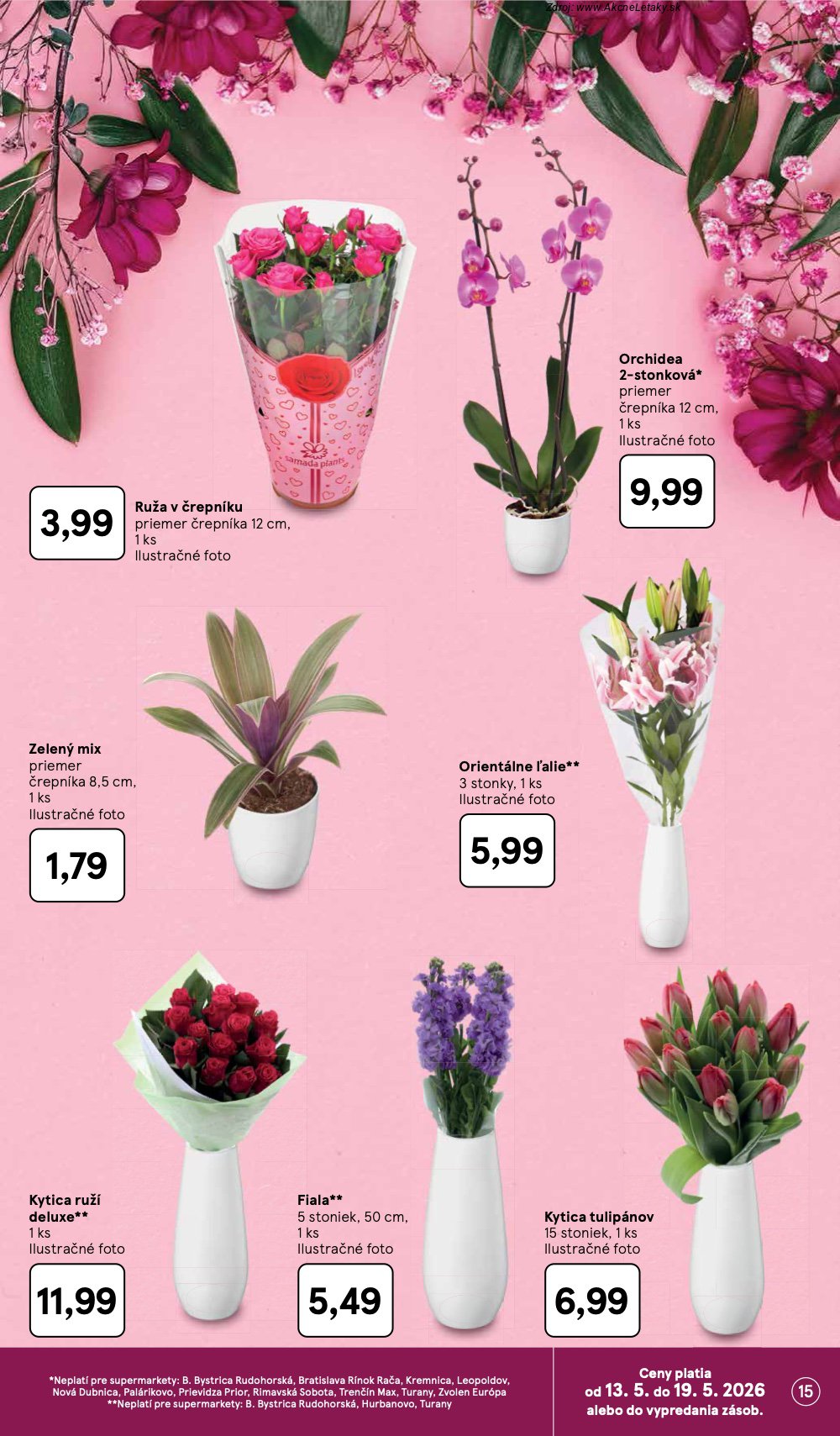 Leták Tesco (13. 5. - 19. 5. 2026) - strana 15 z 31