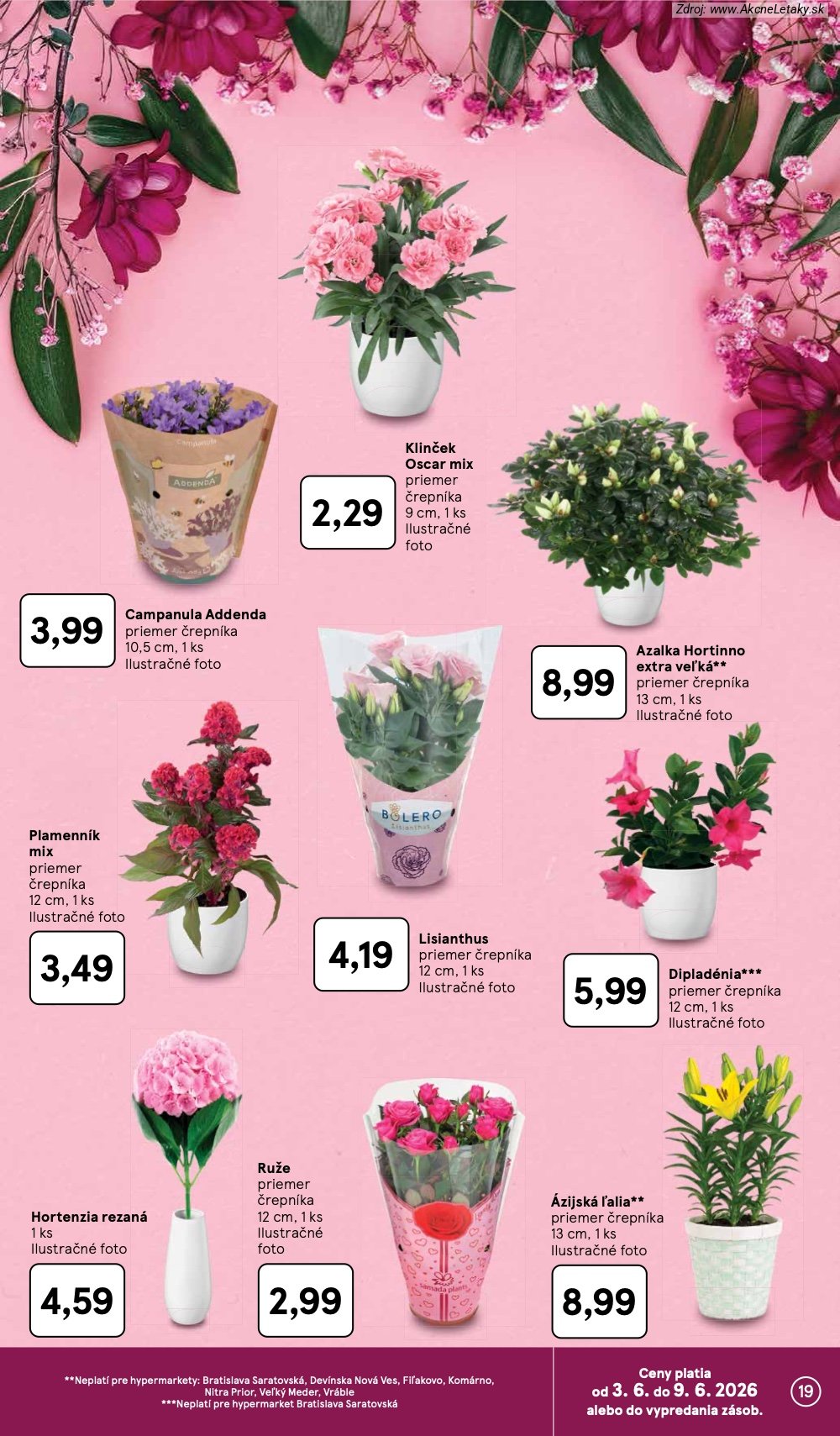 Leták Tesco (3. 6. - 9. 6. 2026) - strana 19 z 52