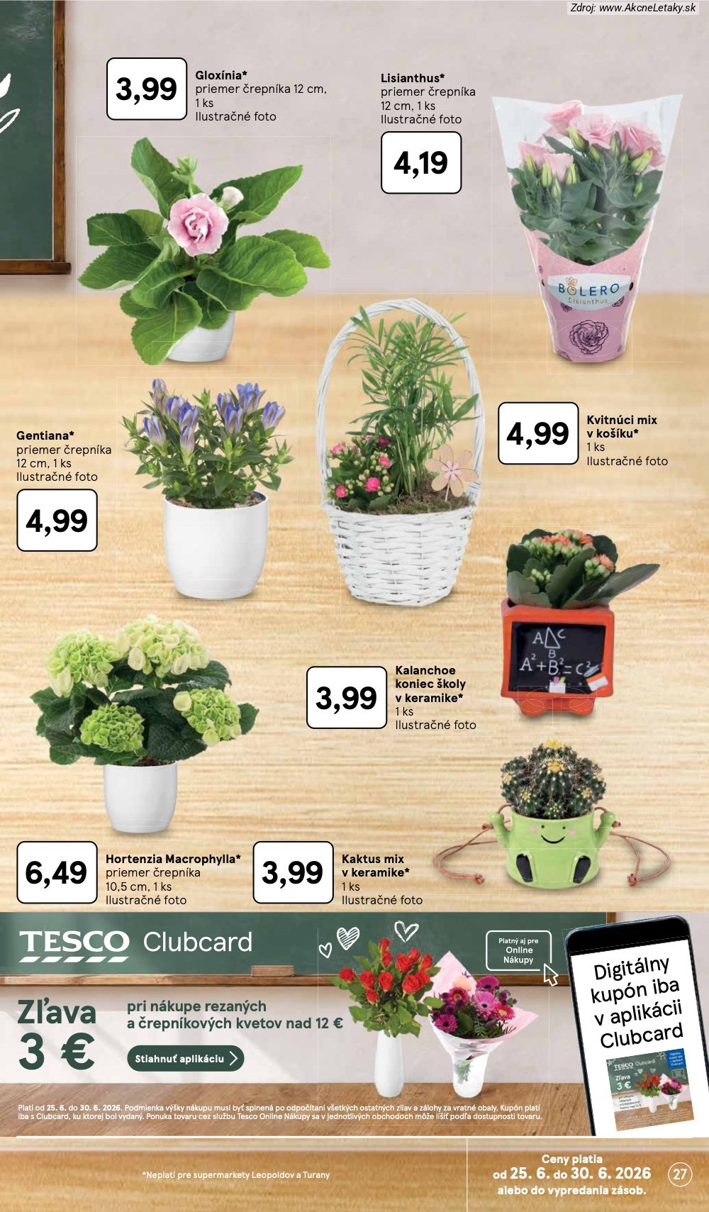 Leták Tesco (24. 6. - 30. 6. 2026) - strana 27 z 33
