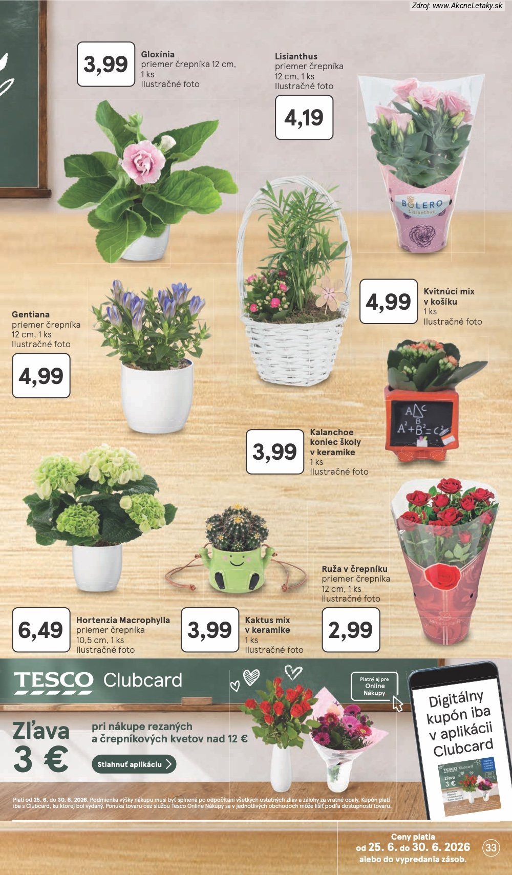 Leták Tesco (24. 6. - 30. 6. 2026) - strana 33 z 51