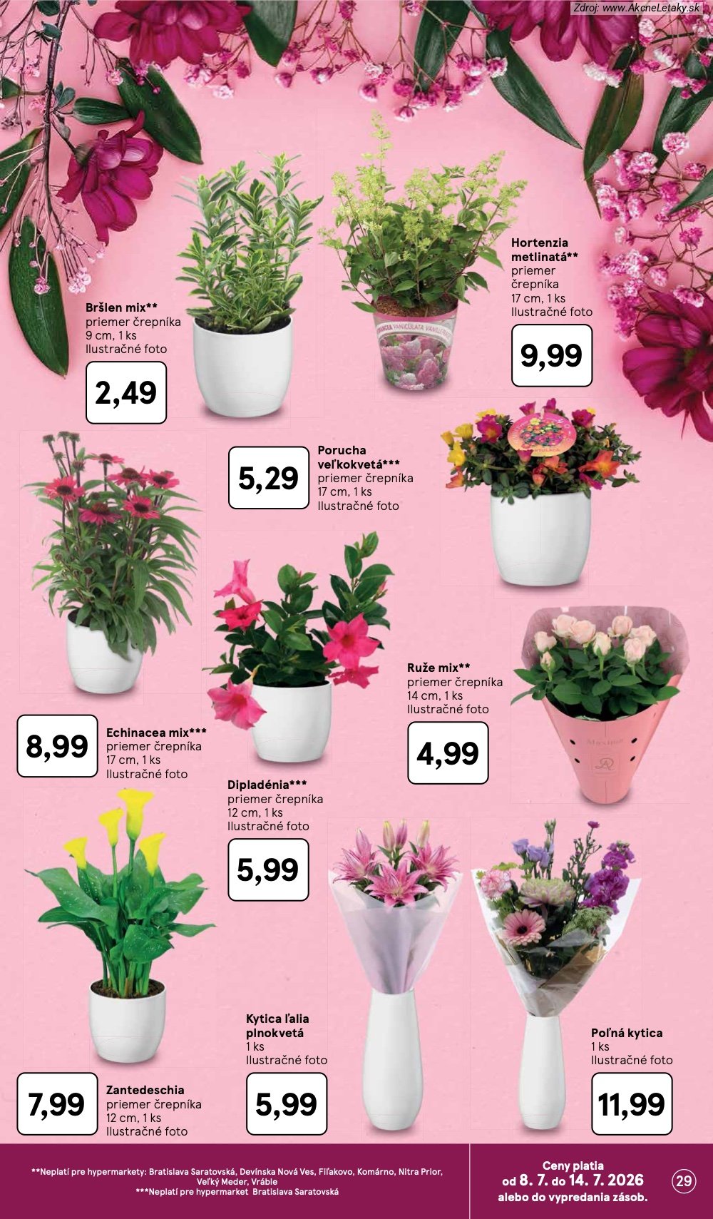 Leták Tesco (8. 7. - 14. 7. 2026) - strana 29 z 48