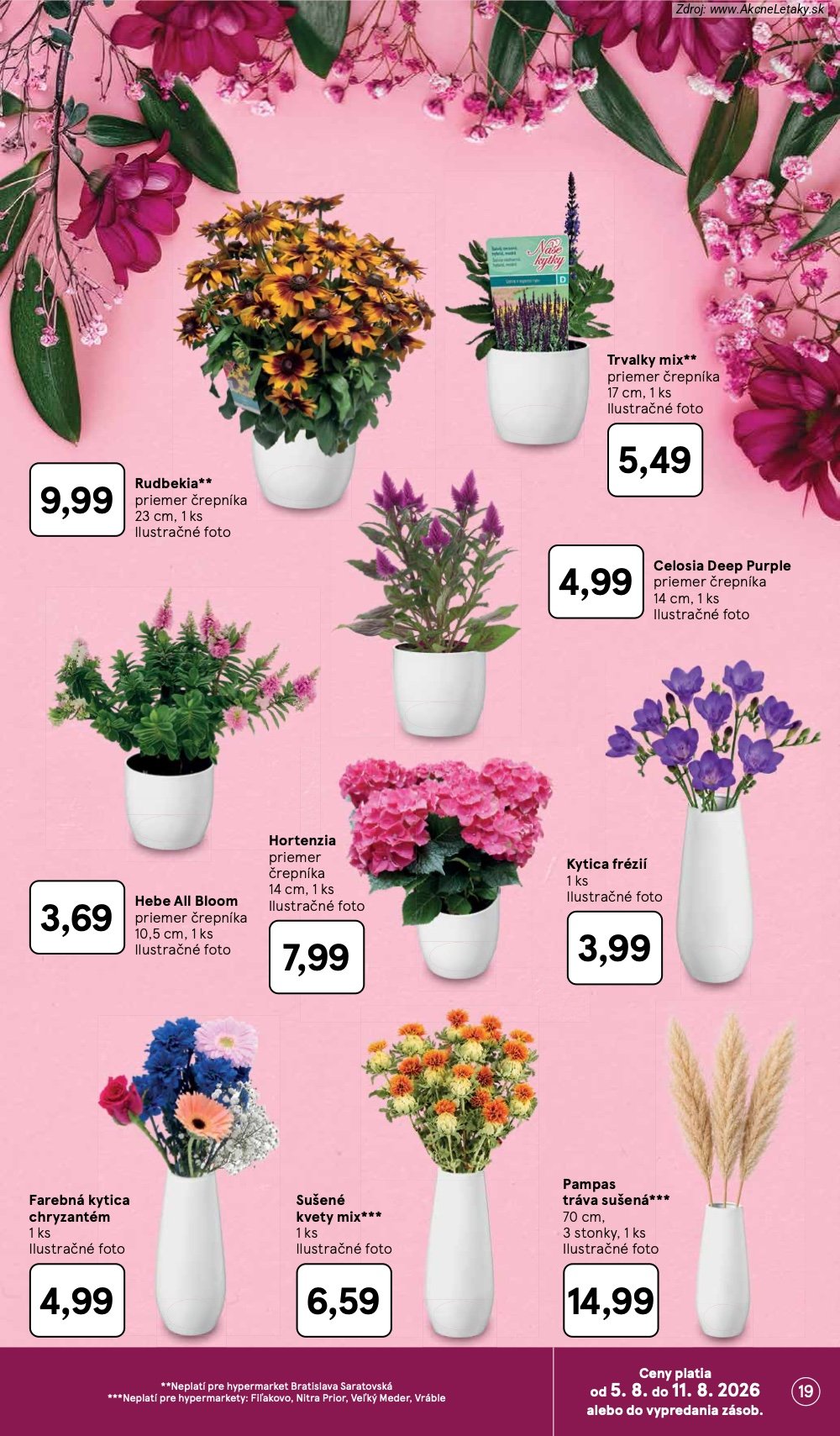 Leták Tesco (5. 8. - 11. 8. 2026) - strana 19 z 52