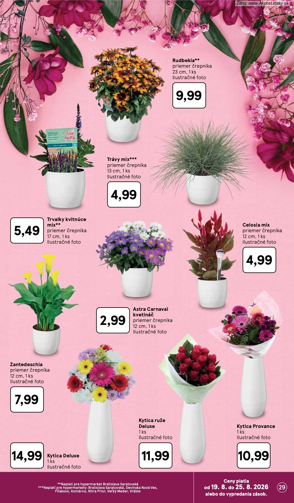 Leták Tesco (19. 8. - 25. 8. 2026) - strana 29 z 50