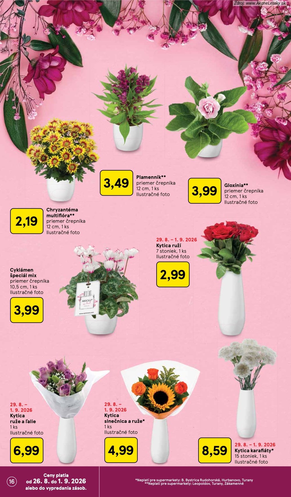 Leták Tesco (26. 8. - 1. 9. 2026) - strana 16 z 38