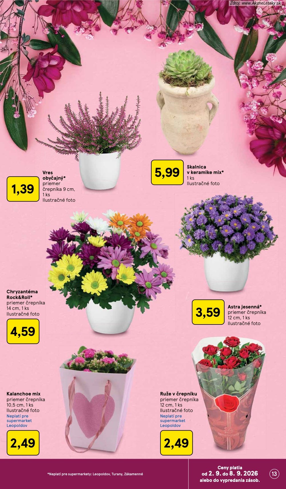 Leták Tesco (2. 9. - 8. 9. 2026) - strana 13 z 29