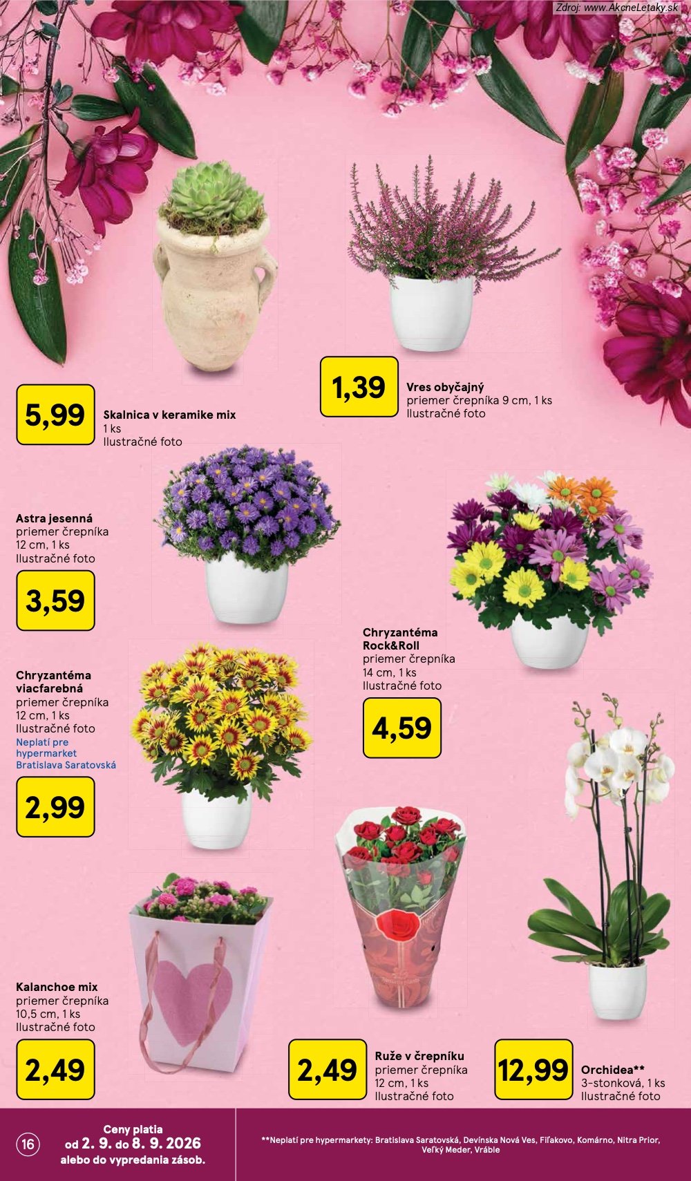 Leták Tesco (2. 9. - 8. 9. 2026) - strana 16 z 41