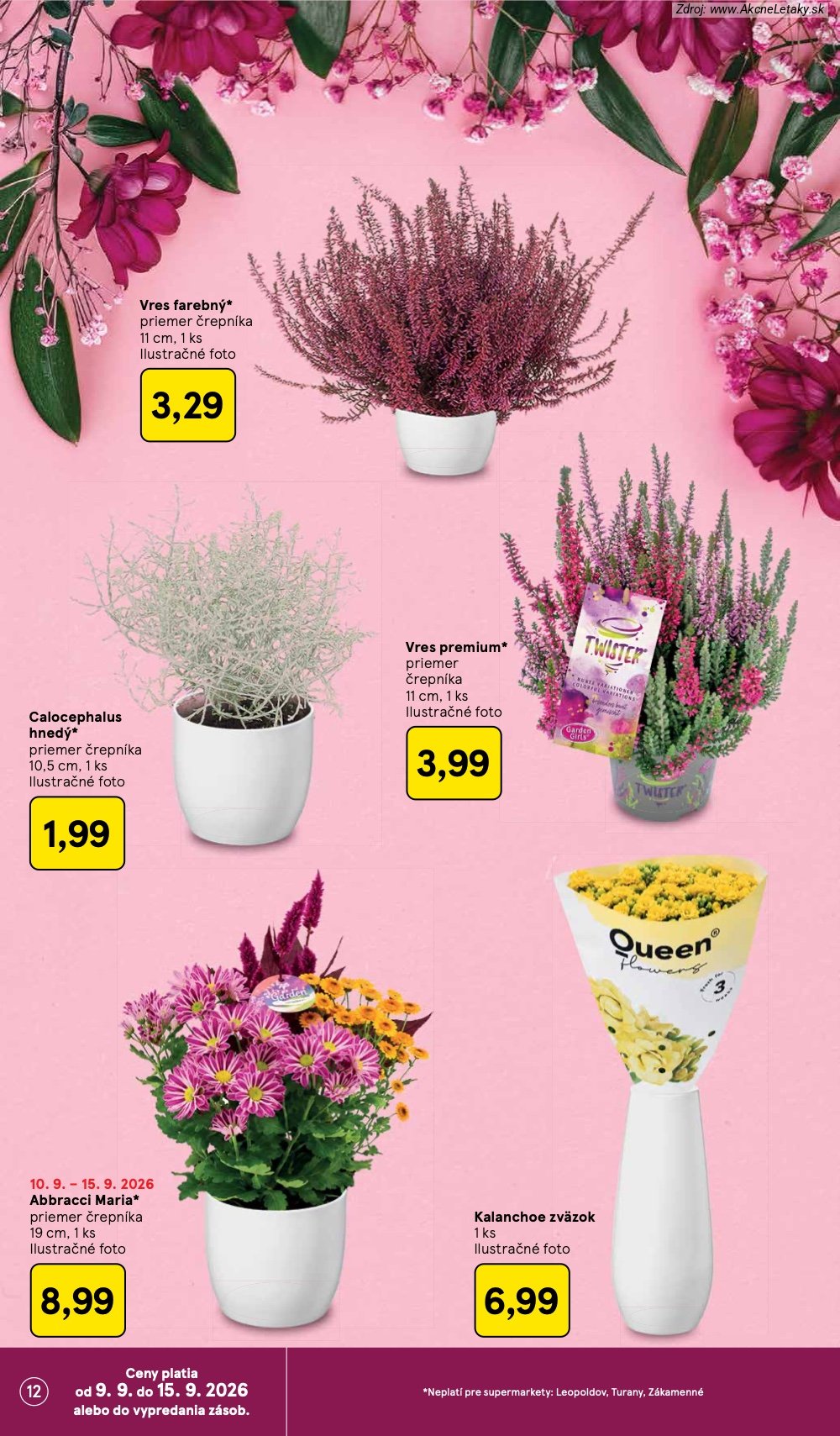 Leták Tesco (9. 9. - 15. 9. 2026) - strana 12 z 26