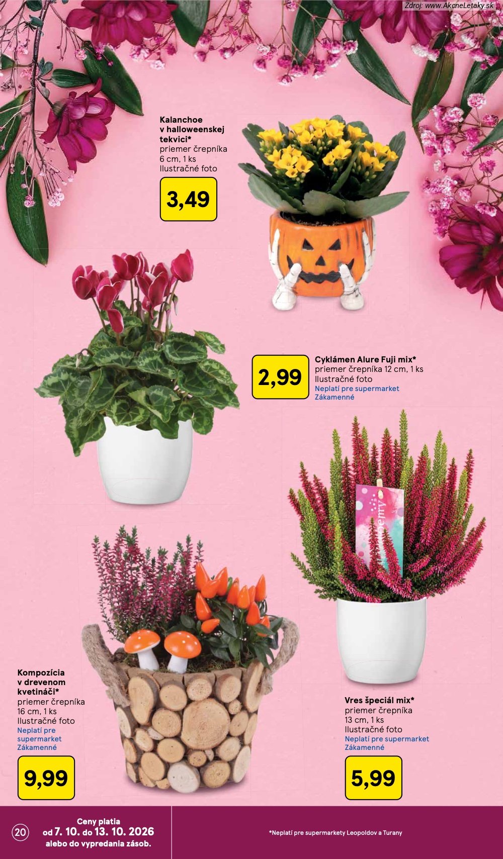 Leták Tesco (7. 10. - 13. 10. 2026) - strana 20 z 30